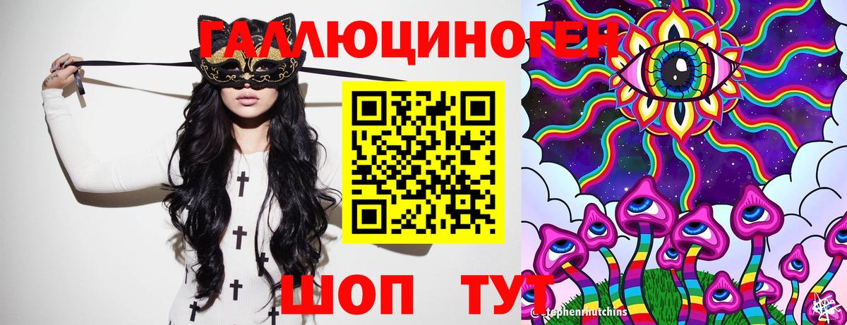 Галлюциногенные грибы Psilocybe Донской