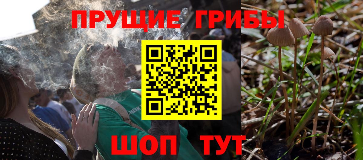 Донской  Псилоцибиновые грибы Psilocybine cubensis  где купить наркоту  Вход с VPN 